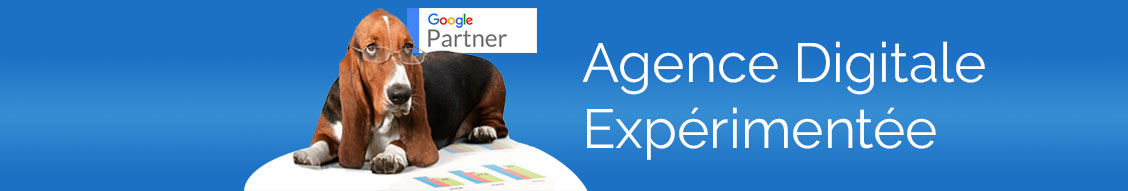 Bannière agence FGP Solutions, agence web en Alsace