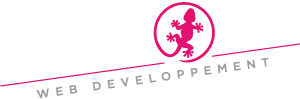 Logo agence GECKODE
