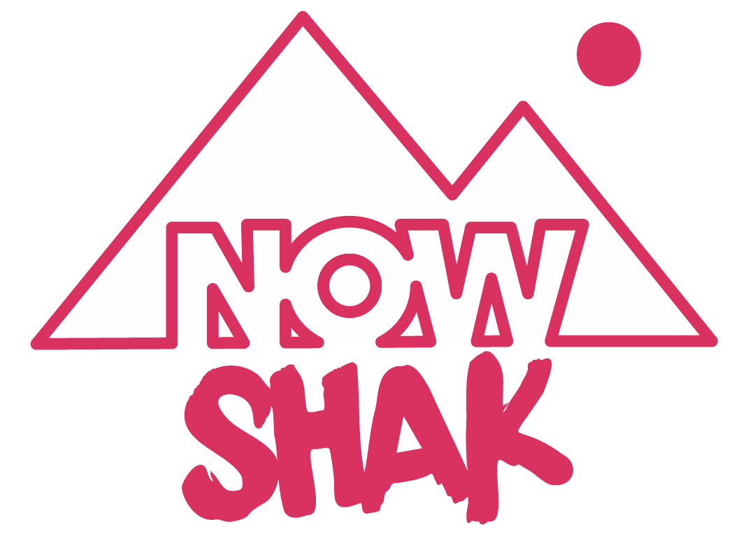 Logo Nowshak - Agile experience