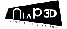 Logo Niap3D