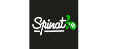 Logo Agence web Spinat